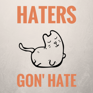 Haters Guide
